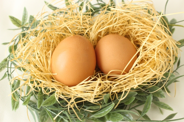 巣に入った2つの卵