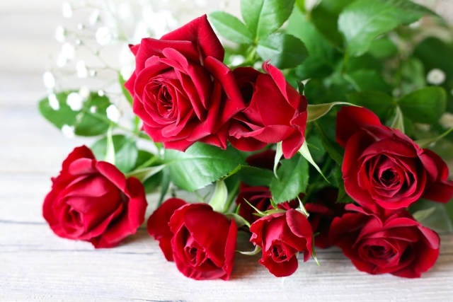 色鮮やかな赤いバラの花束