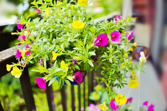 月9ドラマ イチケイのカラス 第9話のあらすじと感想 ネタバレあり りんとちゃーのブログ