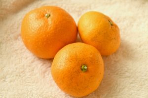 オレンジ色の温州みかん3個