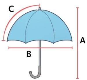 傘の長さの部位（問題選択肢）