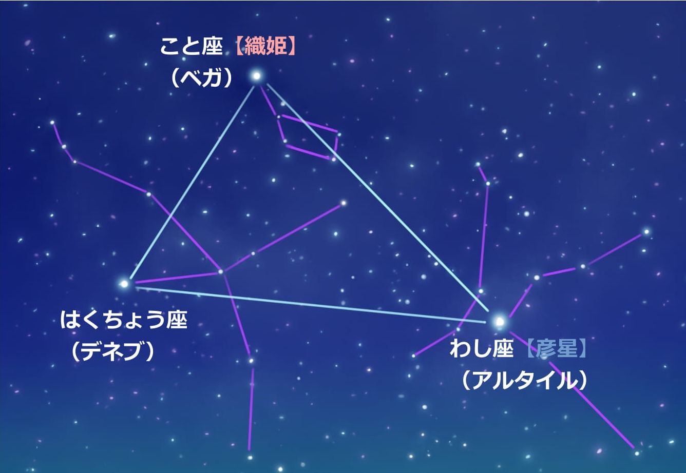 夏の大三角の星座図