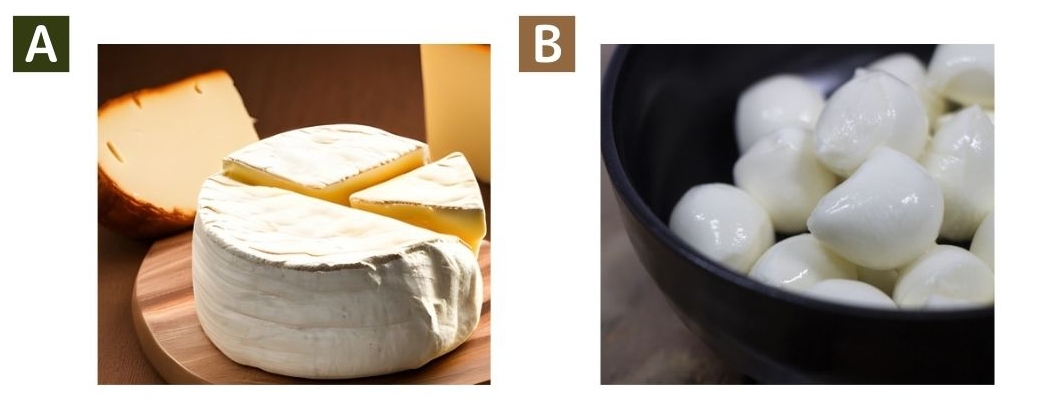 モッツァレラチーズ（問題選択肢）
