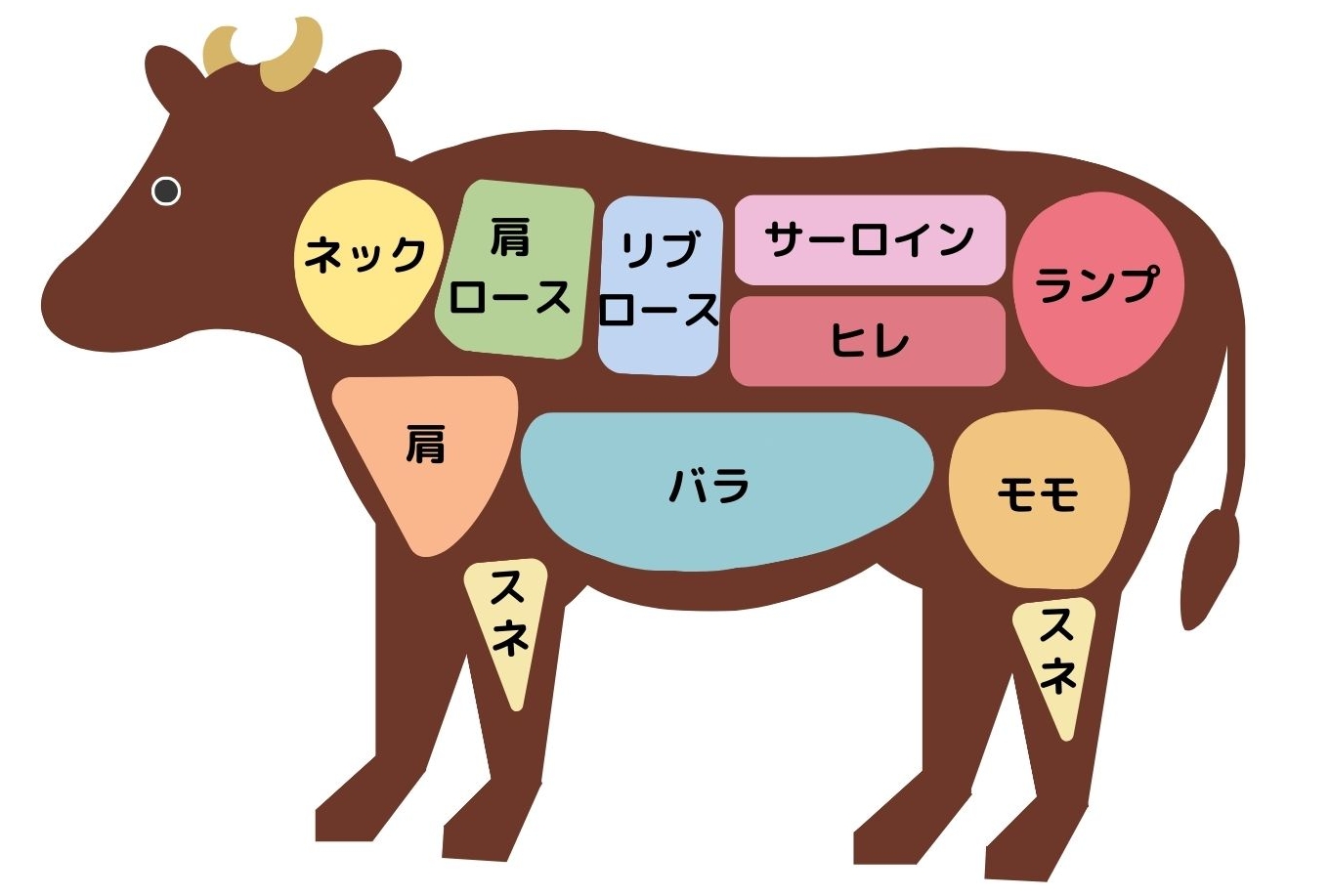 牛の肉の部位名・簡易図