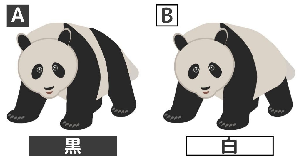 ジャイアントパンダのイラスト（問題選択肢） A：黒　B：白