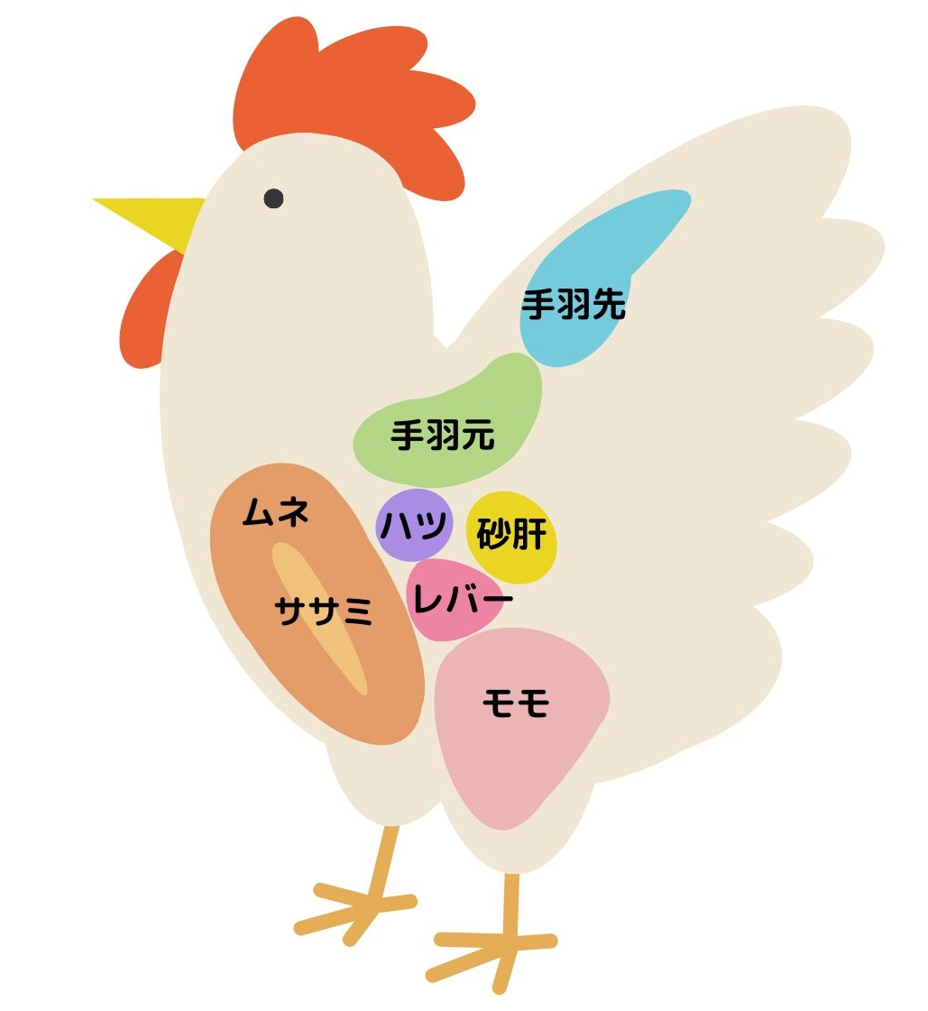 鶏肉の部位（簡易図）
